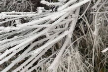 Bragança pintada de branco