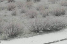 Bragança pintada de branco