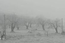 Bragança pintada de branco