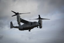 Fuzileiros portugueses e americanos treinam em Alcochete