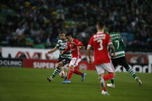Sporting - Benfica