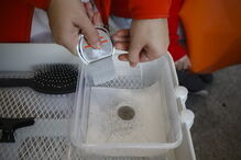 Clínicas de tratamento para piolhos cheias de adolescentes contagiadas em 'selfies'