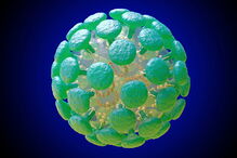 Coronavírus