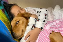 Cadela destrói passaporte da dona e impede viagem para Wuhan