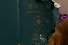 Cadela destrói passaporte da dona e impede viagem para Wuhan