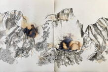 Obra de Joana Mollet