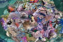 Obra de Regina Frank