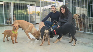 Jovem de 21 anos encontrado morto junto a universidade em Viseu