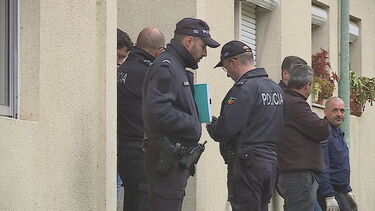 Sabia que os furões podem ajudar em terapias de apoio emocional? Descubra tudo acerca destes animais