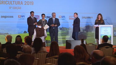 Conheça o segredo da atriz Sandra Celas para manter o rosto jovem