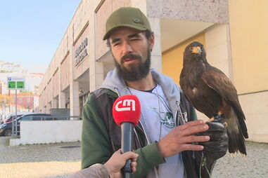 Militares regressam de Moçambique: "Cansados mas de coração cheio"  