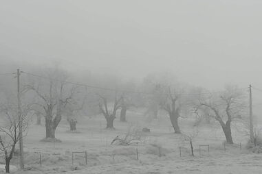 Bragança pintada de branco