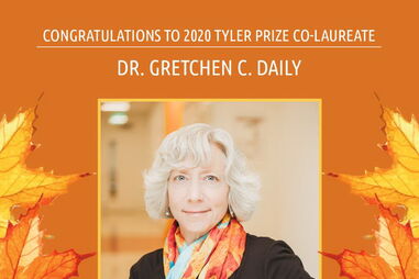 Gretchen Daily 