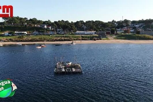 Tiago Torres da Silva, o mais requisitado letrista lusófono