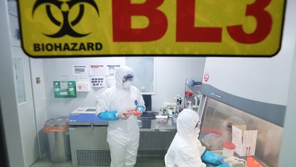 Novo vírus na China é transmissível entre humanos