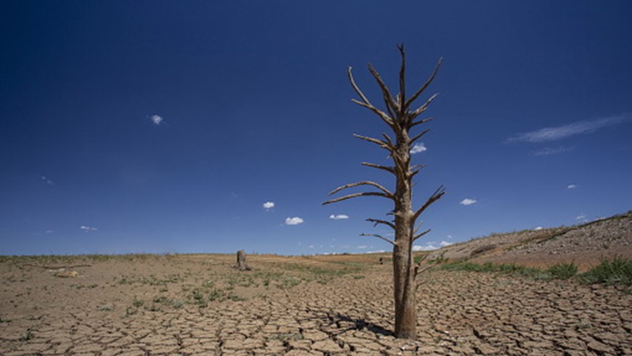 Imagem ilustrativa sobre alterações climáticas	