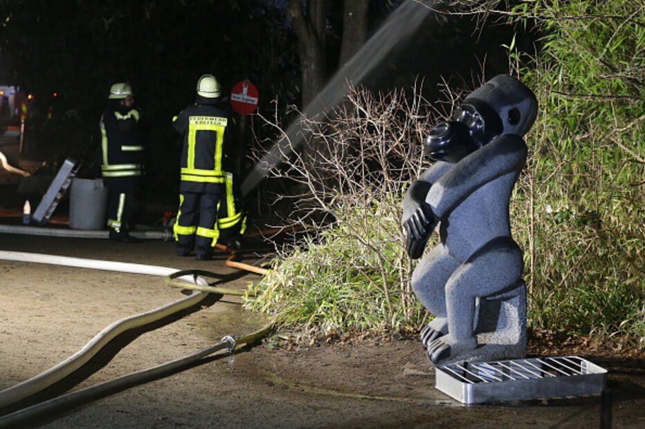 Dezenas de animais morrem queimados após incêndio na Alemanha