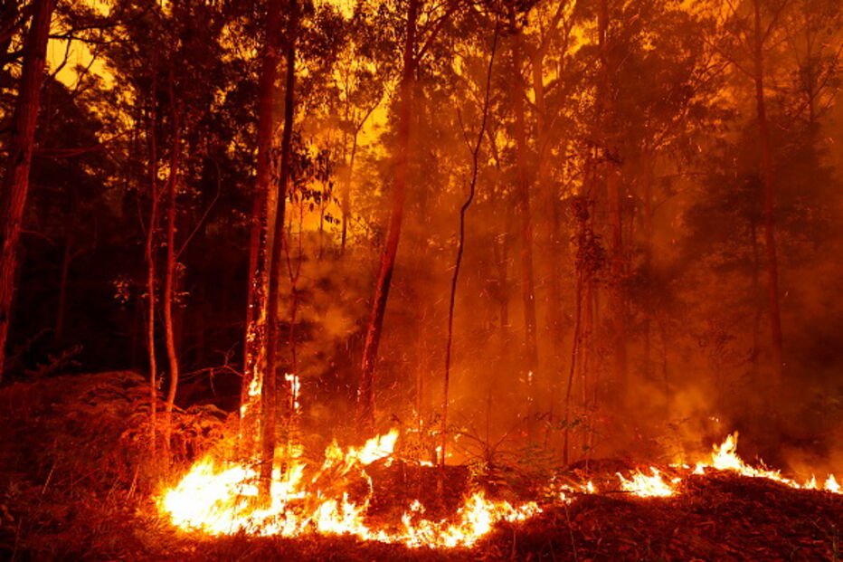 Incêndios na Austrália
