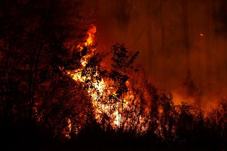 Incêndios na Austrália