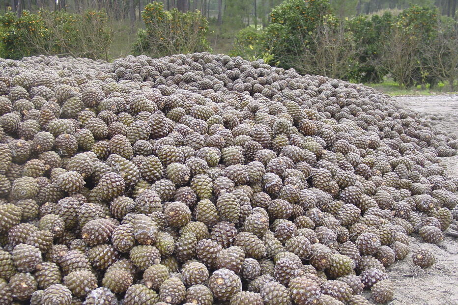 2020-01-02_11_57_47 15944703.JPG