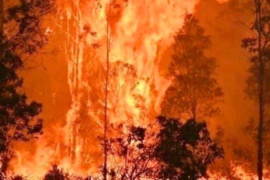 Austrália em chamas. As imagens 'arrepiantes' do inferno na terra