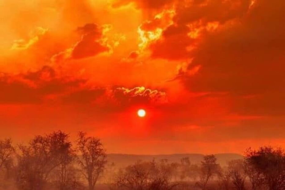 Austrália em chamas. As imagens 'arrepiantes' do inferno na terra