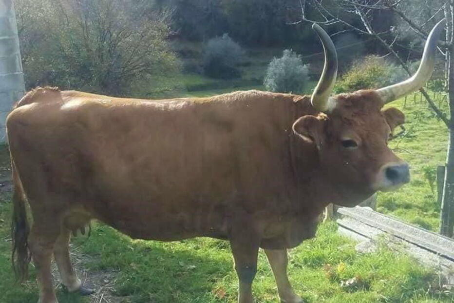 2020-01-03_13_00_31 01.jpg