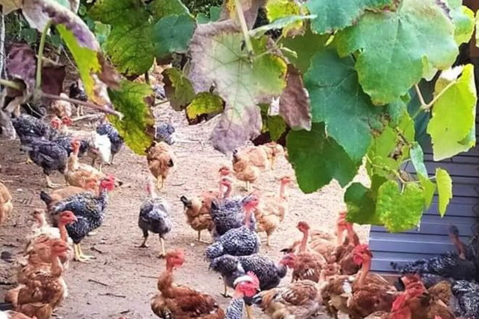 2020-01-03_13_00_31 02.jpg