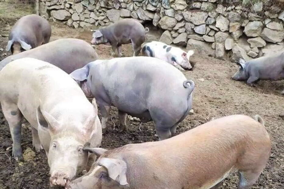 2020-01-03_13_00_32 03.jpg