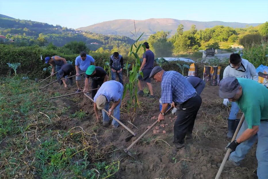 2020-01-03_13_00_33 07.jpg