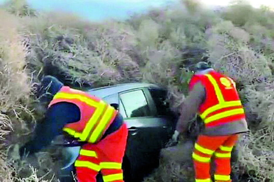 Condutores ficam presos por ervas com 4,5 metros de altura em Washington 