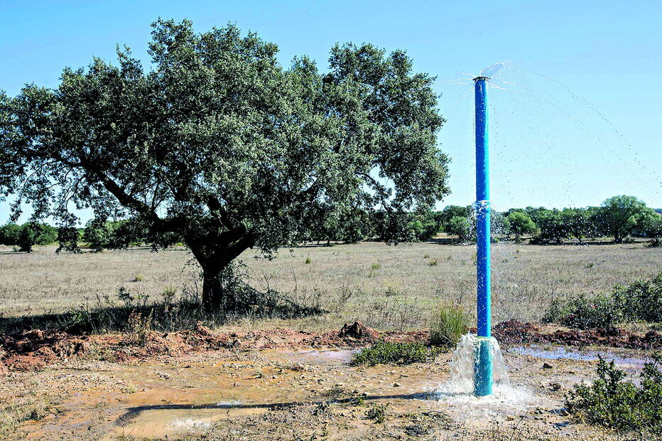 Algarve conta com mais de 19 mil furos de água