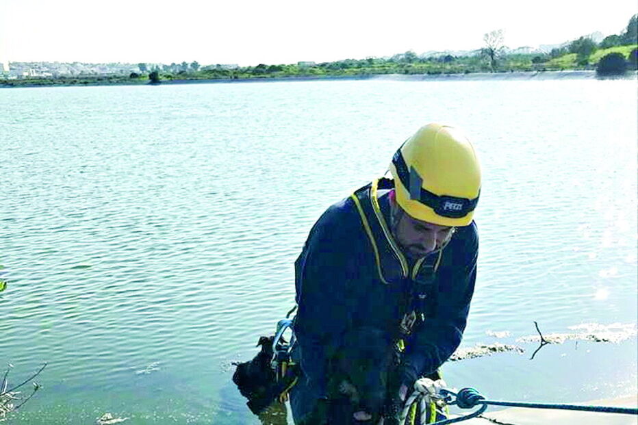 Bombeiros salvam dois cães em ETAR de Portimão