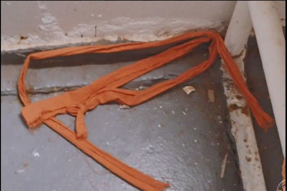 Suicídio de Jeffrey Epstein