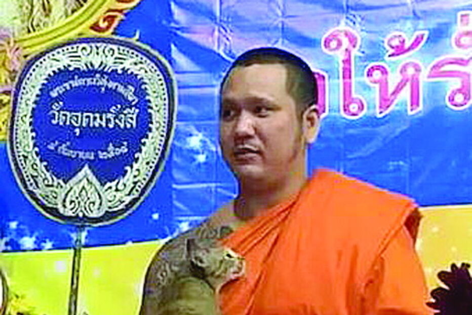 Gato persistente testa paciência de monge na Tailândia