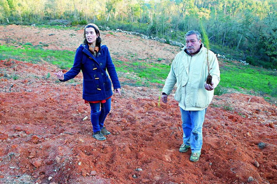 Javalis deixaram marcas no terreno de Ana Rita e do pai, Amadeu Mendes     