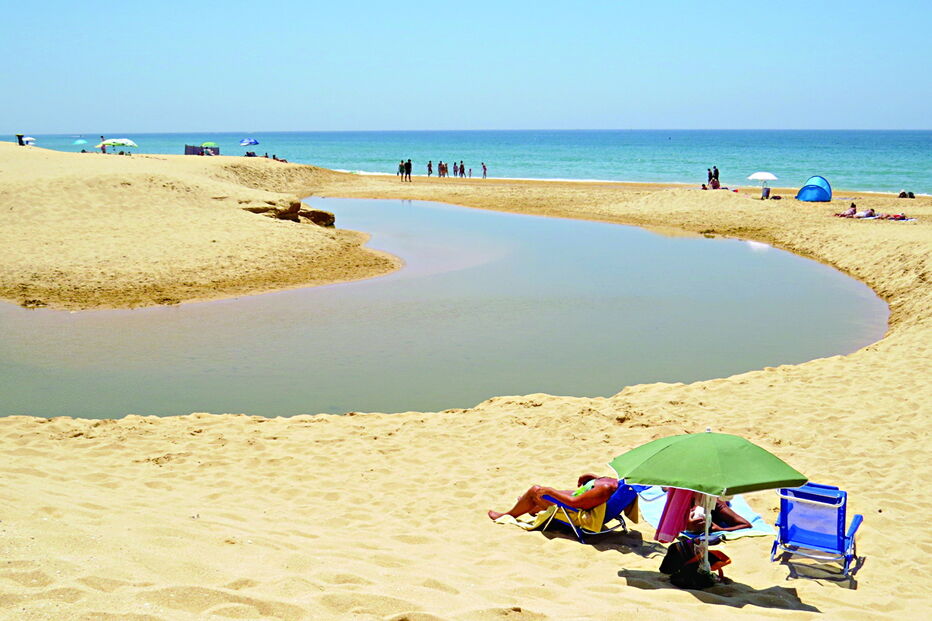 Travessia sobre a ribeira de Alcantarilha será construída em madeira e terá cerca de 1500 metros de extensão