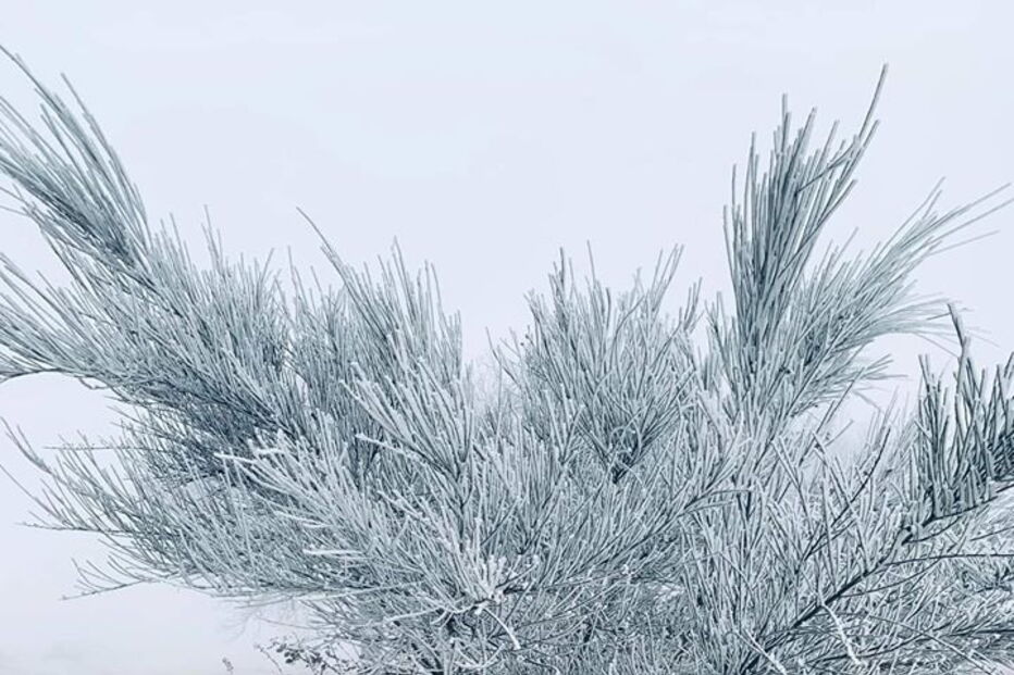 Bragança pintada de branco
