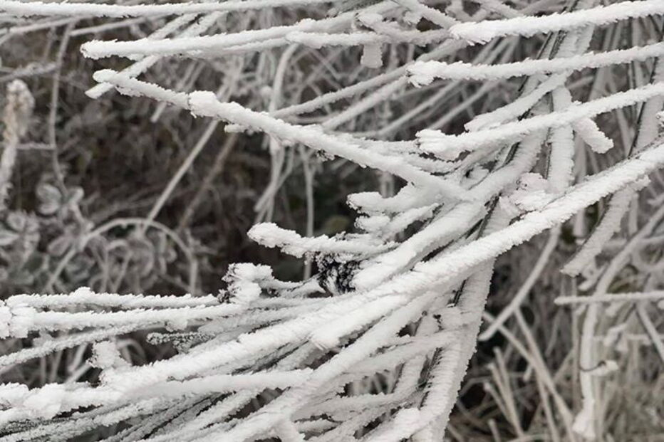 Bragança pintada de branco