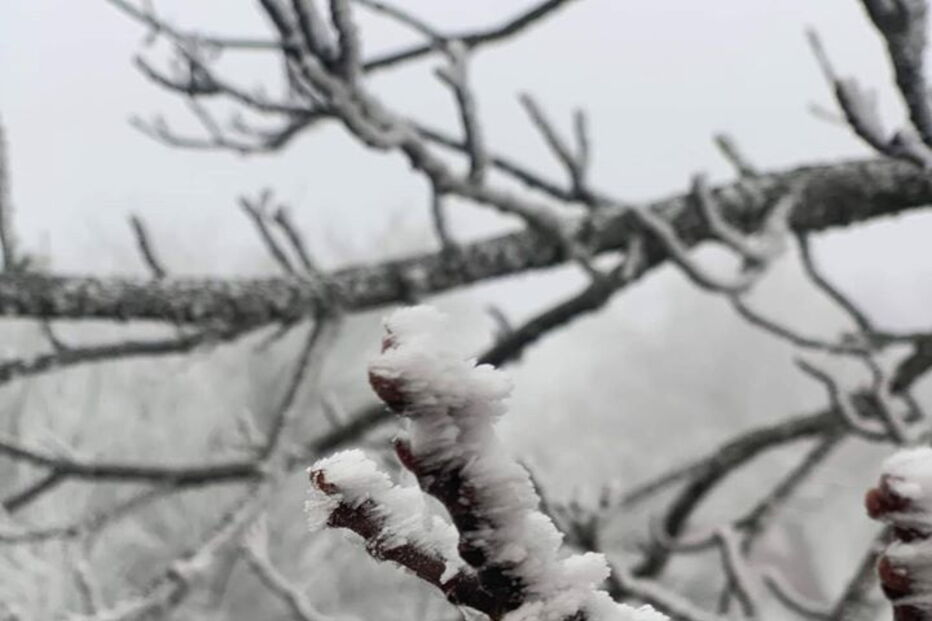 Bragança pintada de branco