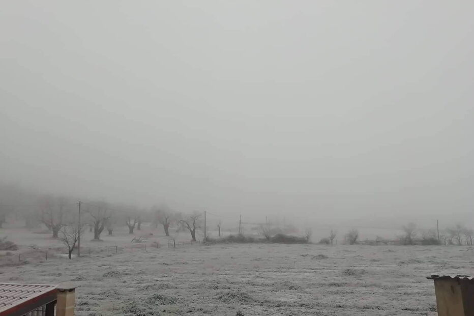 Bragança pintada de branco