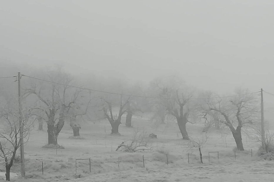 Bragança pintada de branco