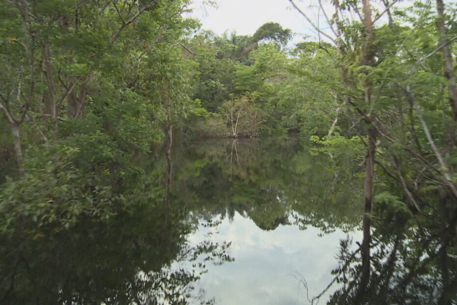 Jair Bolsonaro quer tirar direitos a indígenas da Amazónia