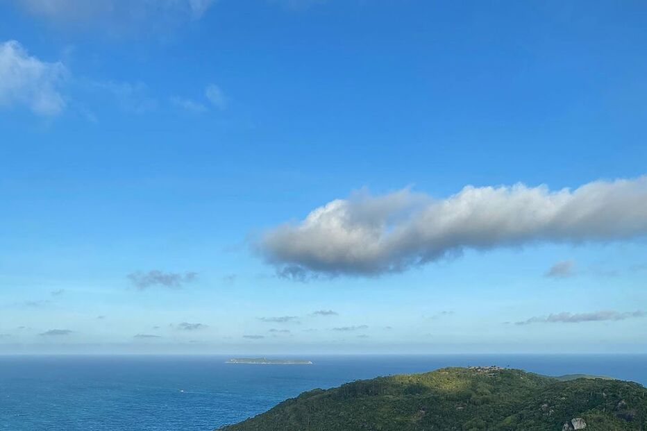 Carolina Loureiro e Vitor Kley