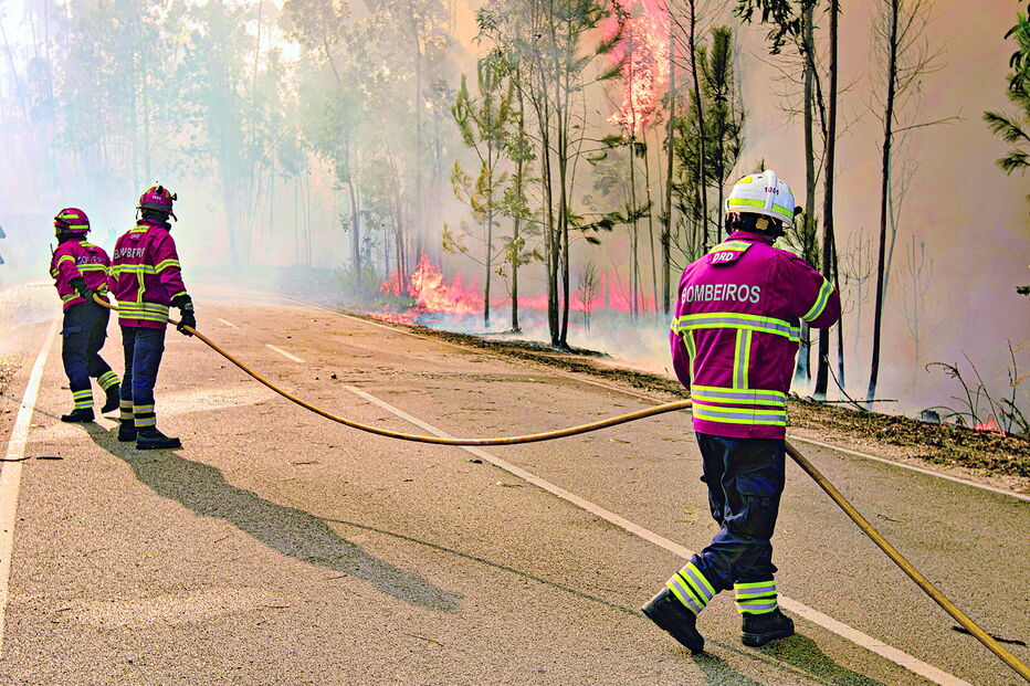 Incêndios rurais vão ser alvo de discussão num seminário, pela primeira vez, dedicado ao problema 