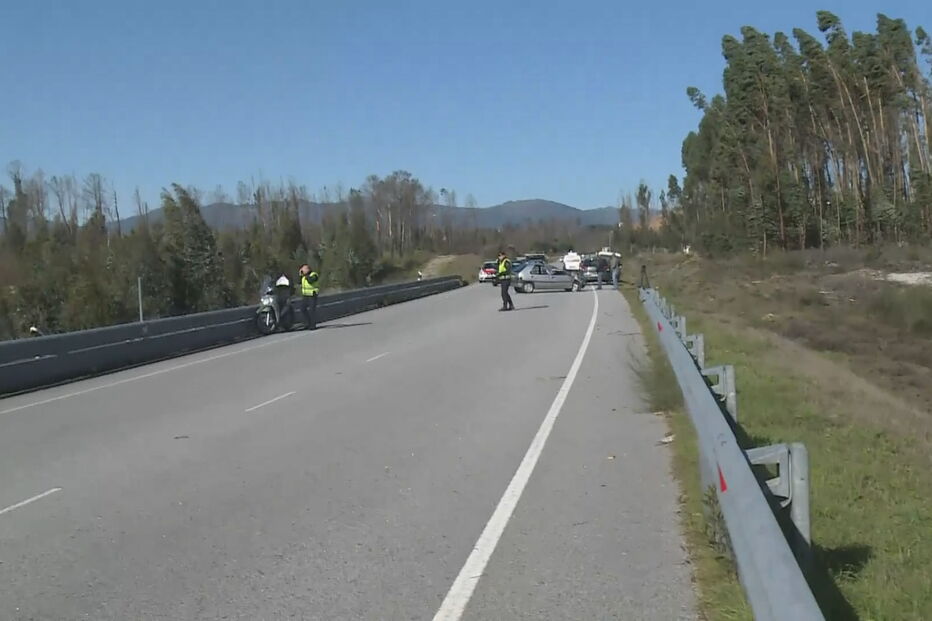 Árvore cai em cima de carro e deixa homem em estado grave em Tondela