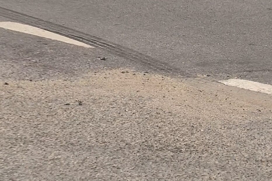 2020-01-20_13_25_31 estarreja2.jpg