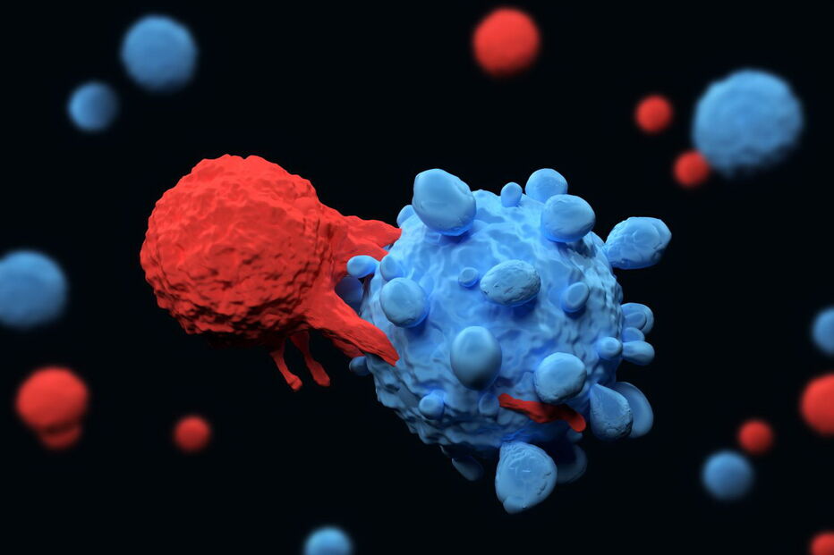 2020-01-21_10_50_15 cell.jpg