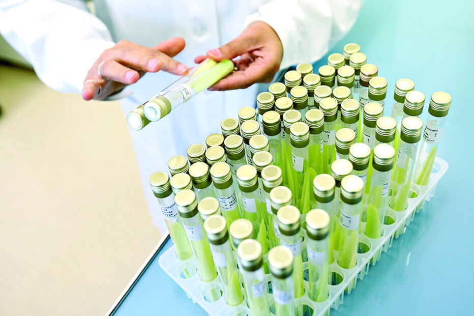 Vacina é o método mais eficaz de controlar epidemia da gripe 