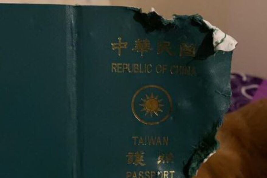 Cadela destrói passaporte da dona e impede viagem para Wuhan